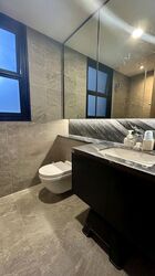 Daintree Residence (D21), Condominium #457488351